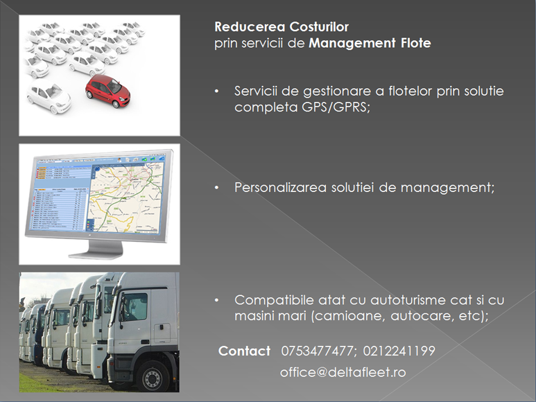 Delta Auto Center - Management Flote